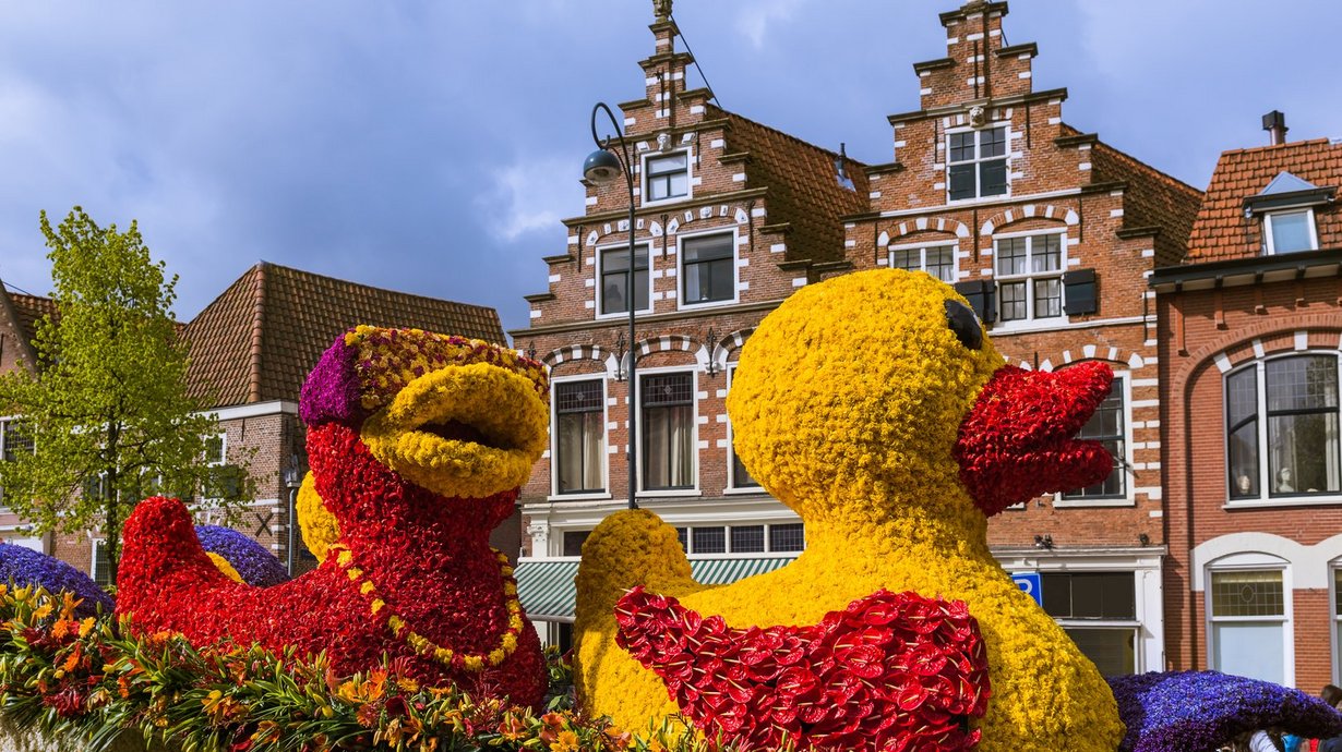 Fantasievoll und farbenfroh ist der Blumenkorso in Osnabrücks Partnerstadt Haarlem