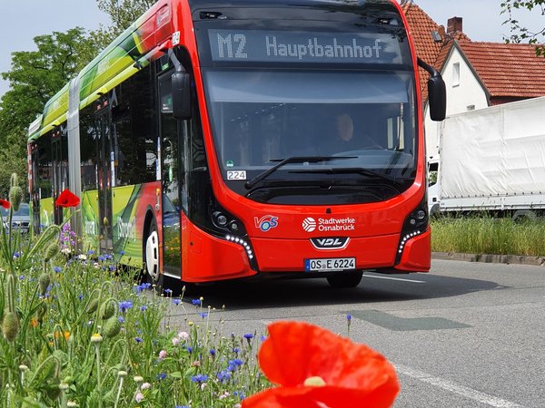 Bus mit Blume